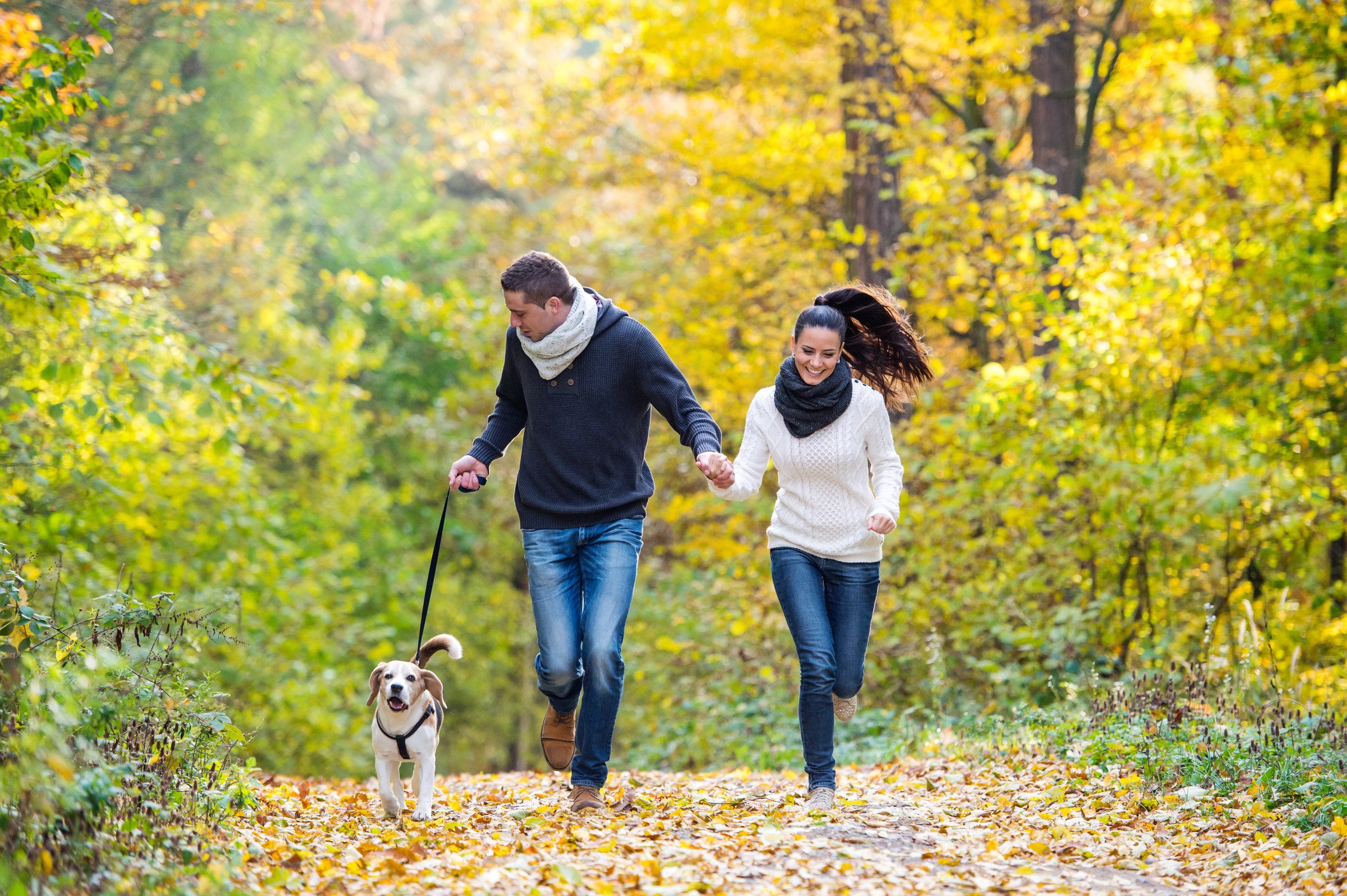 Couple with dog walking and running in the wood during fall, Life Extension
